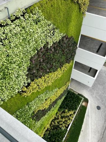 New Luxury Apartment With King - Size Bed Ceibos Guayaquil Exteriér fotografie